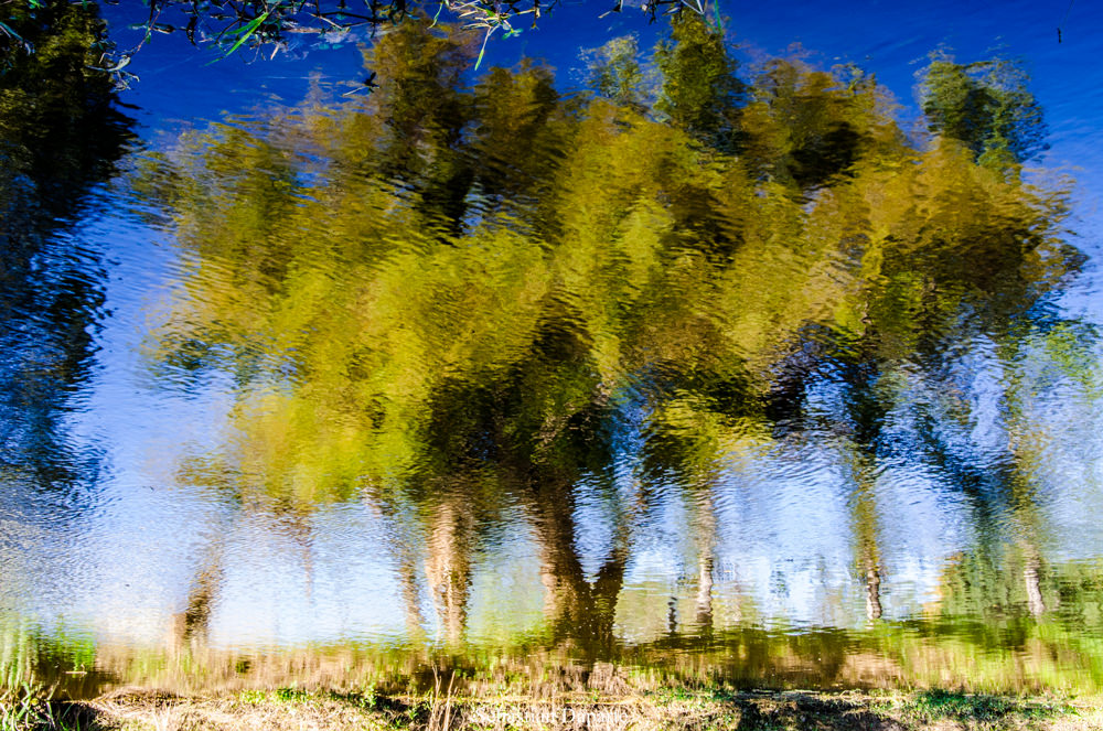 Photo by Claudio Sebastián Daparte