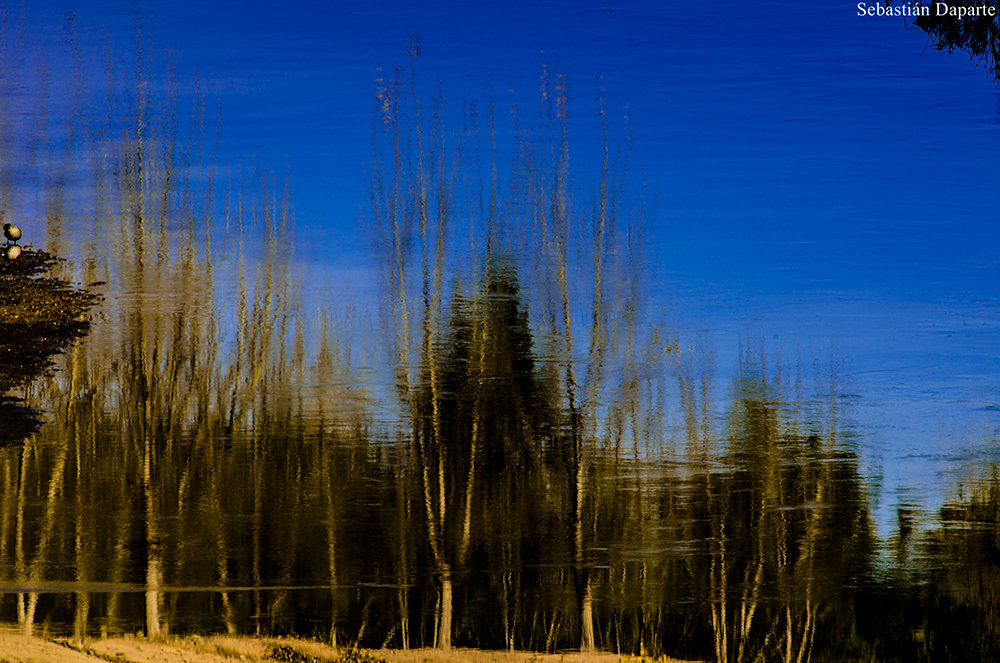 Photo by Claudio Sebastián Daparte