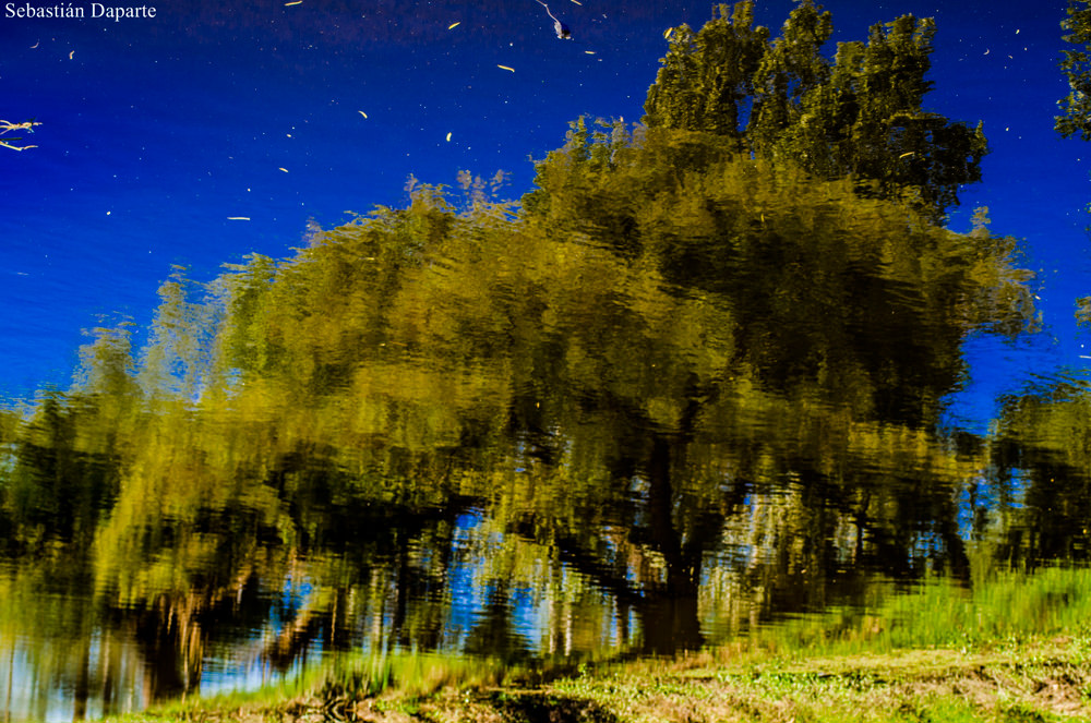 Photo by Claudio Sebastián Daparte