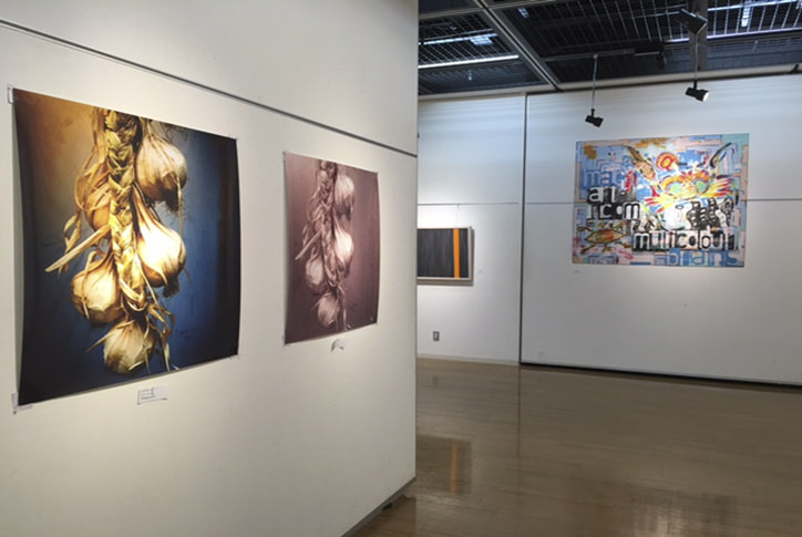 23-iapaj-2016